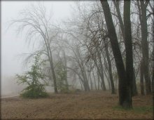 für Nebel / ***