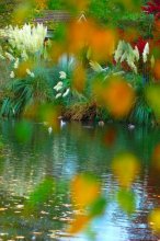 Herbst Aquarell / ***