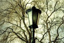dendroidno - Lampe / ***