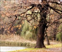 Der Winter kommt / ***