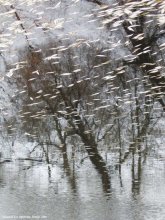 Zdravnevo. Reflexion. November / ***