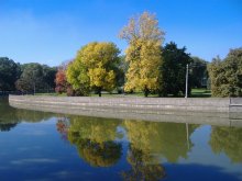 Herbst / ***