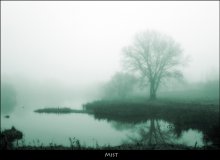 mist / ***