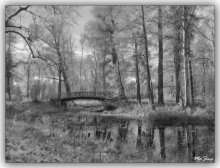 ... auf der Brücke. / ***