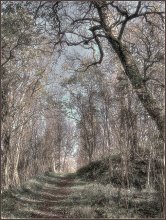 Herbst und Frühjahr. / ***