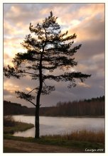 Abends. / ***