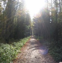 Weg der Sonne / ***