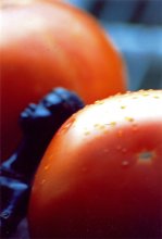 Tomate Fantasy 2 / ***