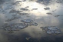 Ice Island / ***
