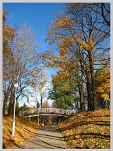 Goldener Herbst / ***