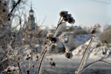 Der Winter kam ... / ***
