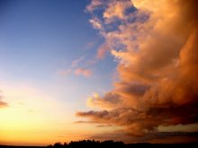 Redhead Paradies / ***