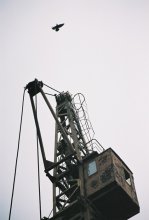 Die Seele des Verstorbenen Kran / ***