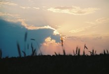 Sonnenuntergang / ***