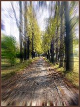 Straße zum Herbst / ***
