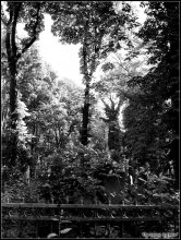 Hand des Todes? / ***