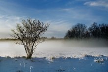 Winter Bild ... / ISO 100  F22 1/80