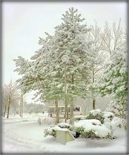 Wintermorgen ruhigen Innenhof der weiß und kalt gemacht .. / ***