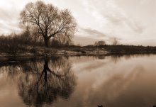 Spiegelung / ***