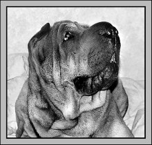 Porträt Lyuska / ***