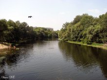 River Psyol. / ***