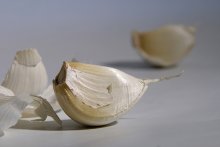 Knoblauch / ***