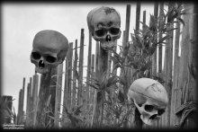 Memento mori / ***