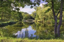 Im Sommer des Parks. / ***