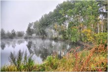 Nebel auf dem See im Wald / ***