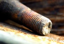 Rost ... / ***