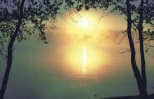 Nebligen Morgen / ***