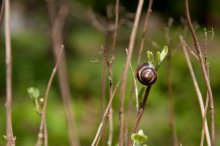 Beschwichtigung / ***