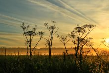 Treffen der Dämmerung / *****