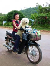 Man Hund Freund! / ***