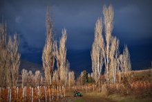 Vor dem regen / .....