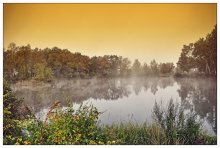 Herbst Waldteich / ***