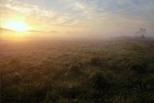 In der Dämmerung Nebel ... / ***