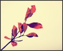 Herbst / ***