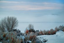 Schnee und Nebel / ***