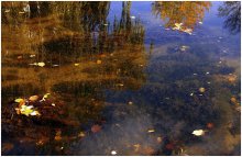 Herbst Reflexionen / ***