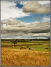 pastoral... / selskaja idillija