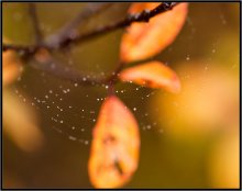 Was ist der Herbst Farbe 3 / ***