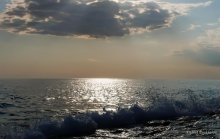Surf / ***