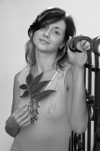 Julia / ***
