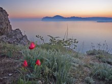 Einschlafen Sonnenuntergang, Nebel über die Berge und Hügel / ***