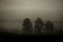 Drei Männer in einem Nebel ... / .......