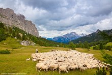 Alpen vor dem Sturm (vom Schaf) / ***