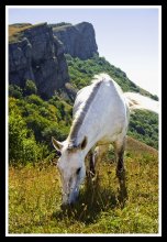 Auf einem weißen Pferd, in den Ausläufern des Krim-Bergen verloren habe, sondern es geht darum, selbst, und nicht bereut ... / ***