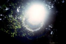 Golden Sonnenstrahl / ----------