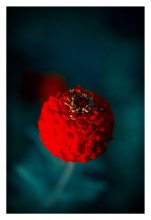 Red Ball / ***